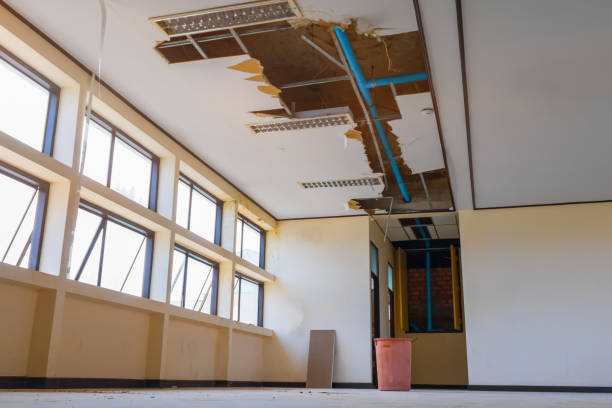 Best Residential water damage restoration  in Priest River, ID