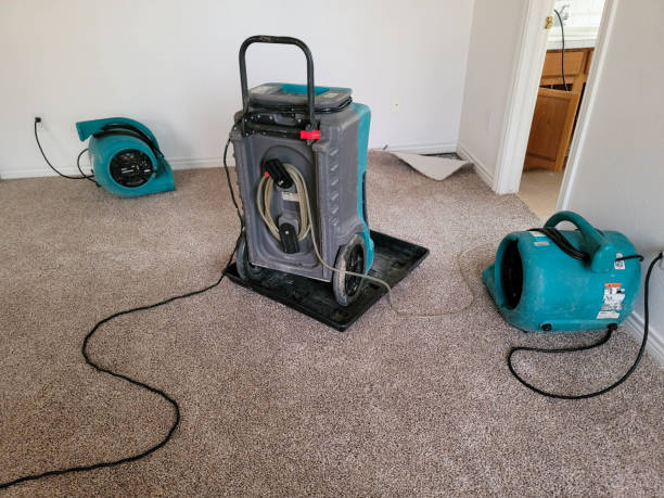 Best Flood damage cleanup  in Priest River, ID
