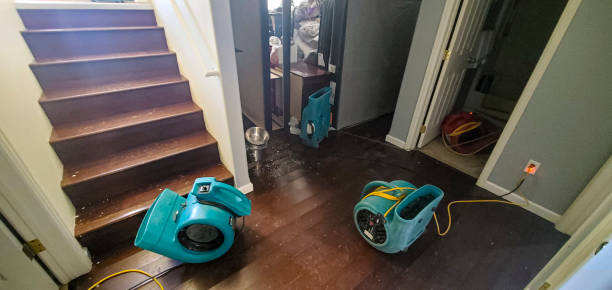 Best Fire Damage Restoration  in Priest River, ID