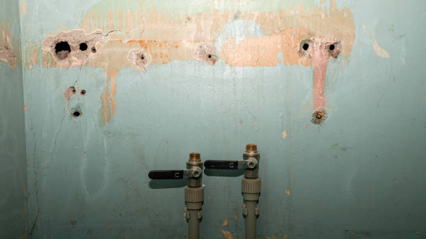 Best Local water damage restoration  in Priest River, ID
