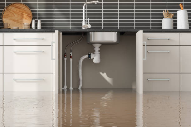 Best 24-hour water damage restoration  in Priest River, ID