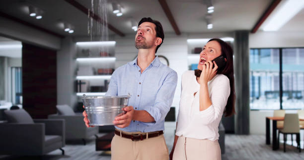 Best Basement water damage restoration  in Priest River, ID