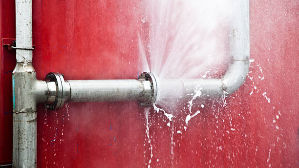 Best Professional water damage repair  in Priest River, ID